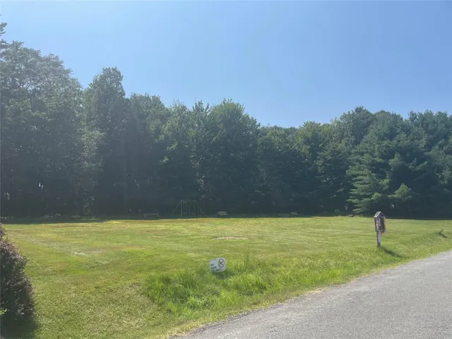 a view of a park with large trees