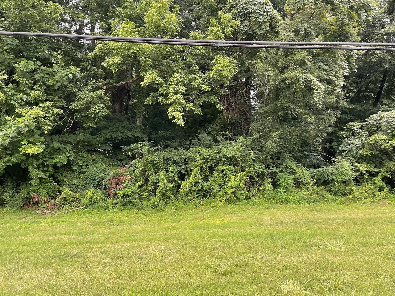 0 Dunbar Cave Road Clarksville, TN 37043 - Photo 11 of 11 a view of a garden