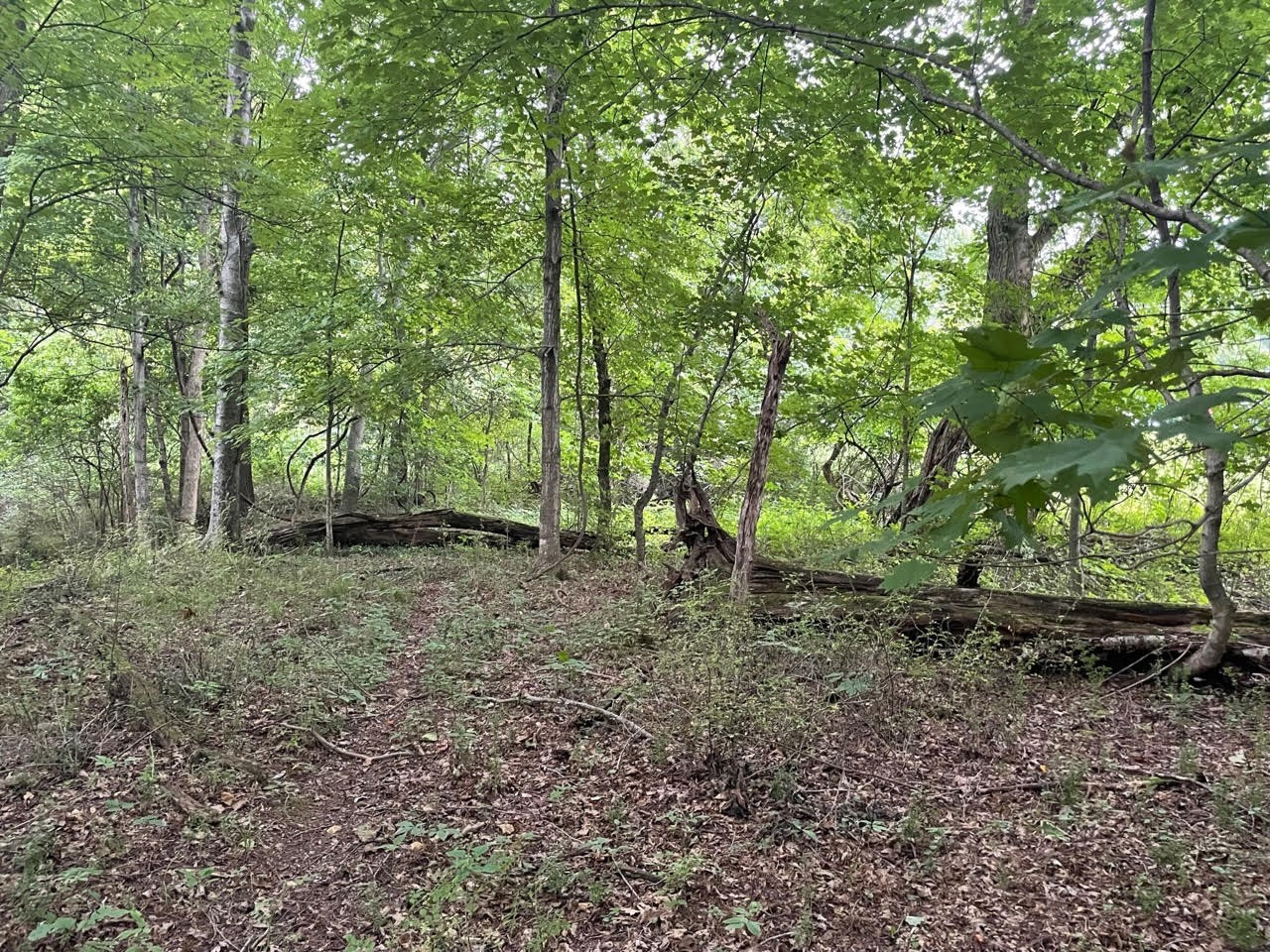 0 Dunbar Cave Road Clarksville, TN 37043 - Photo 3 of 11 a view of outdoor space and yard