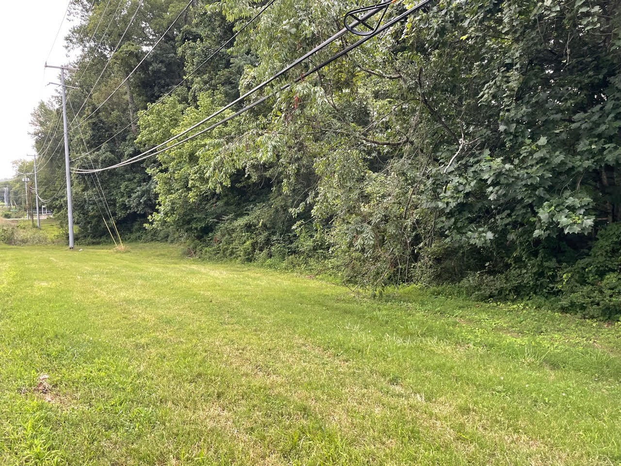 0 Dunbar Cave Road Clarksville, TN 37043 - Photo 7 of 11 a view of a field with an trees