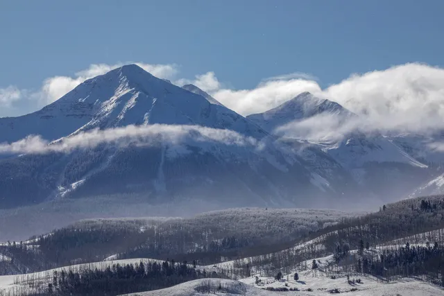 a view of a wooden fence