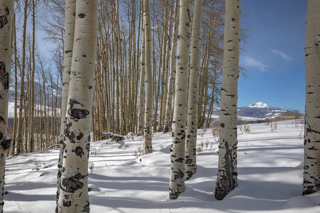 a view of a building with street view
