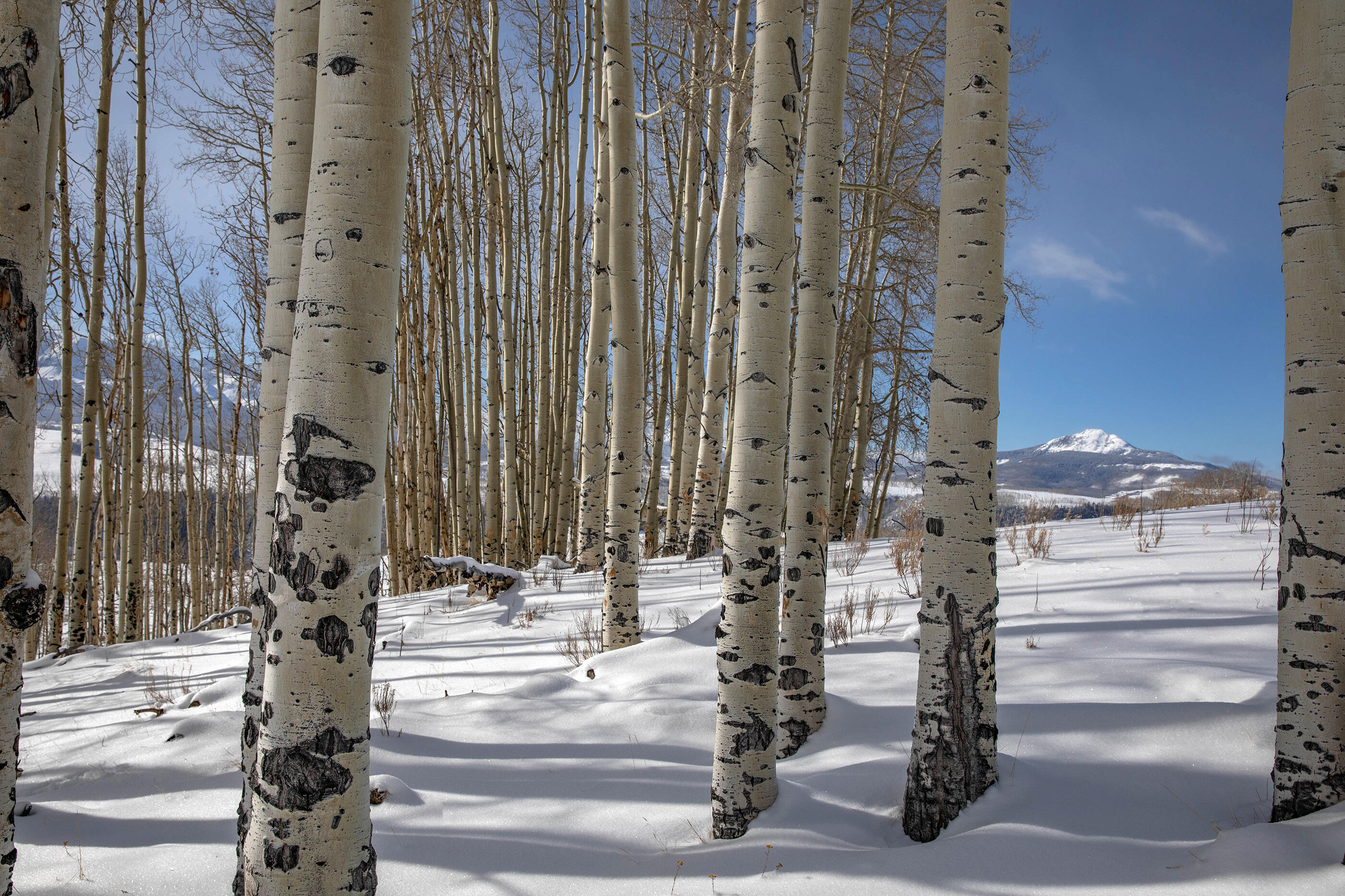 300 Whipple Way Telluride, CO 81435 - Photo 16 of 28 a view of a building with street view