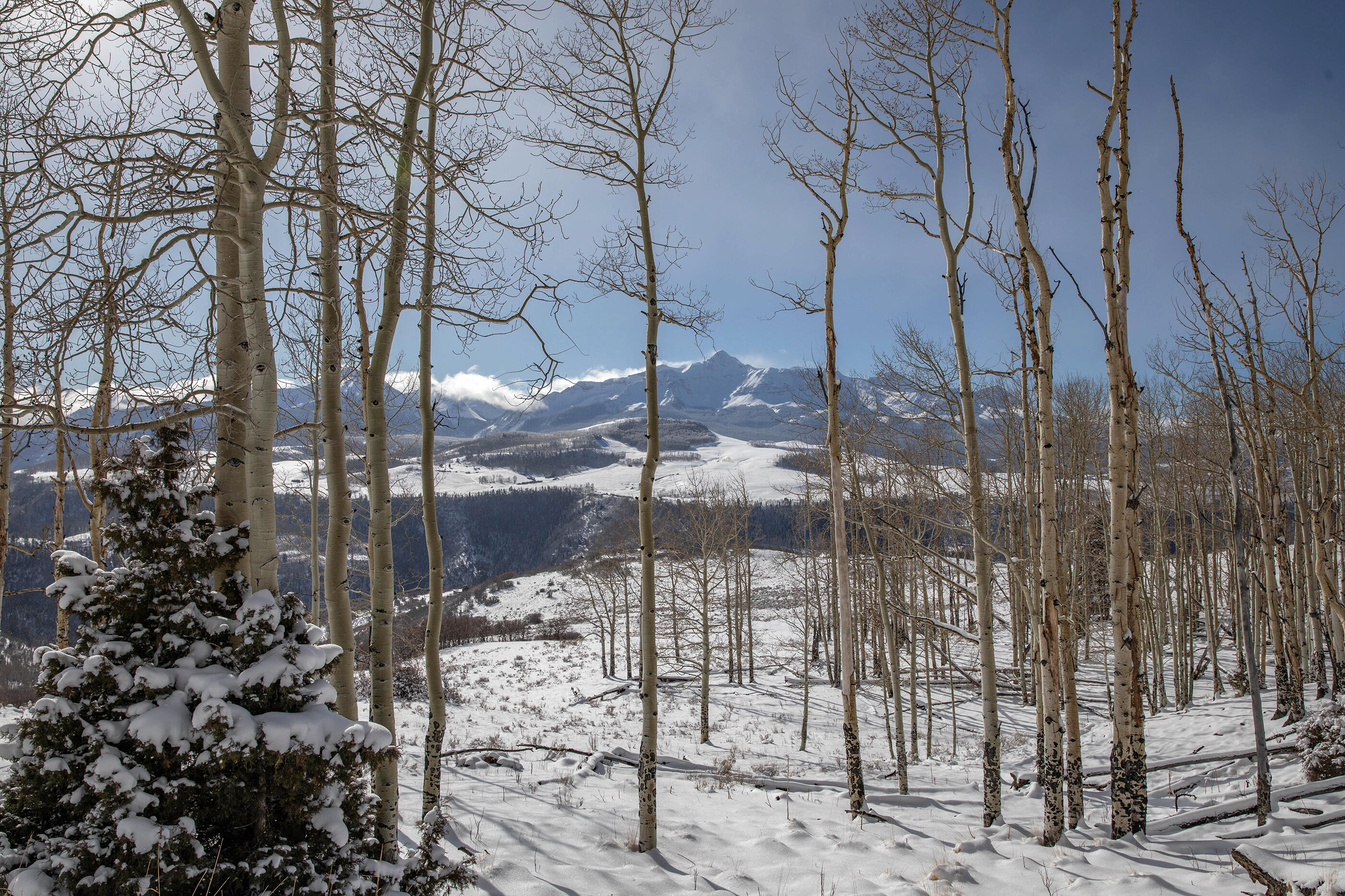 300 Whipple Way Telluride, CO 81435 - Photo 17 of 28 a view of a outdoor space