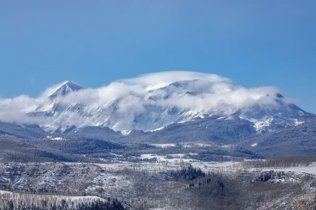a view of a big yard