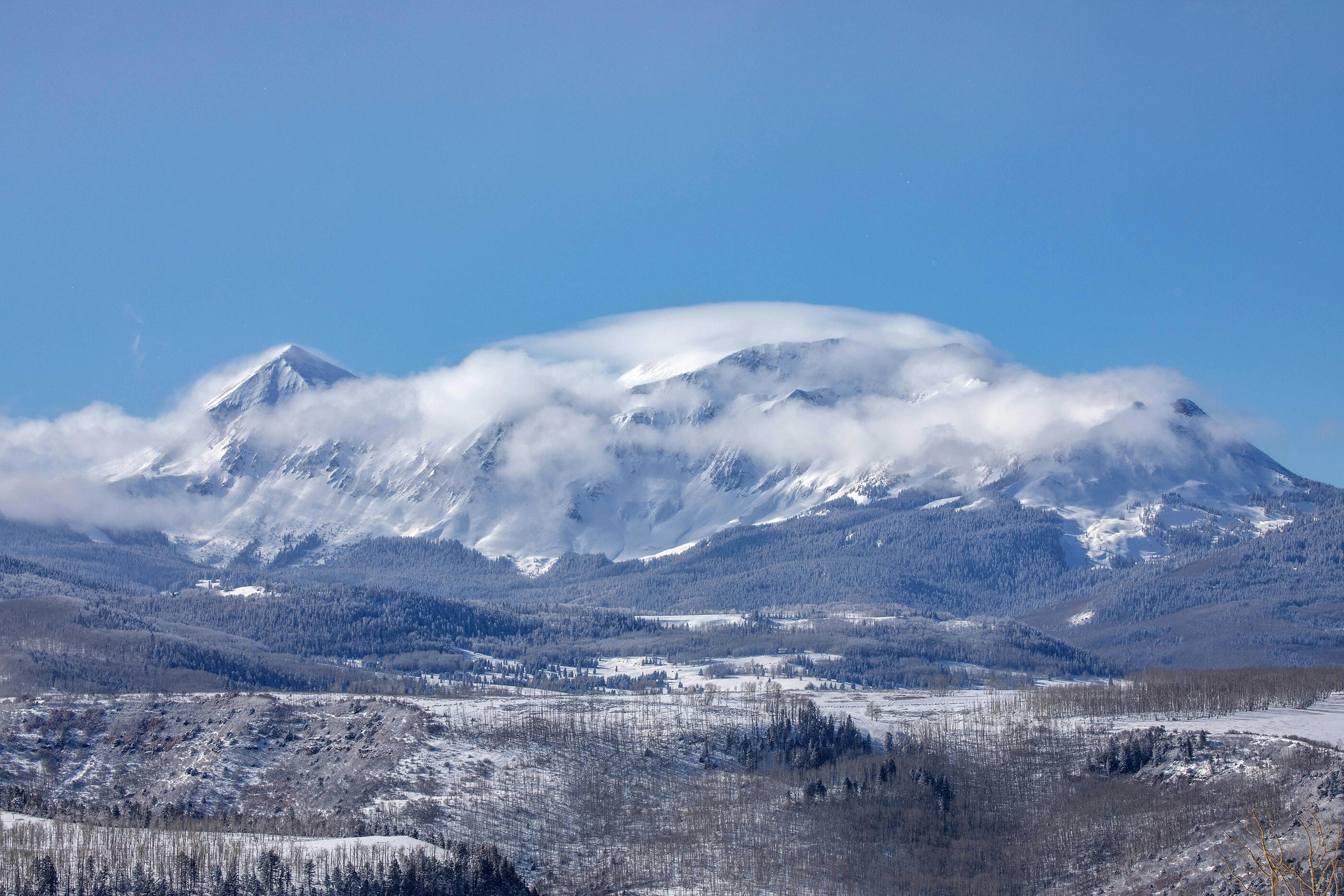 300 Whipple Way Telluride, CO 81435 - Photo 19 of 28 a view of a big yard