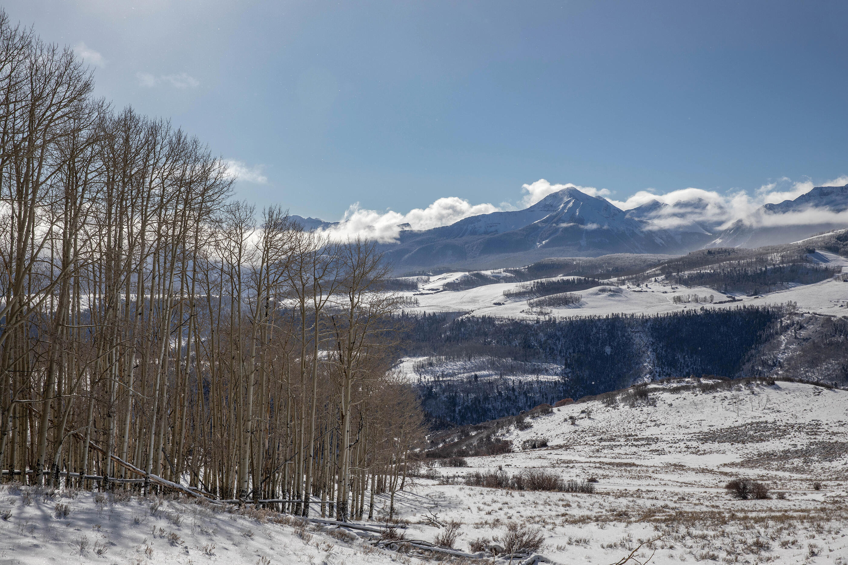 300 Whipple Way Telluride, CO 81435 - Photo 5 of 28 a view of a house with a yard and mountain view
