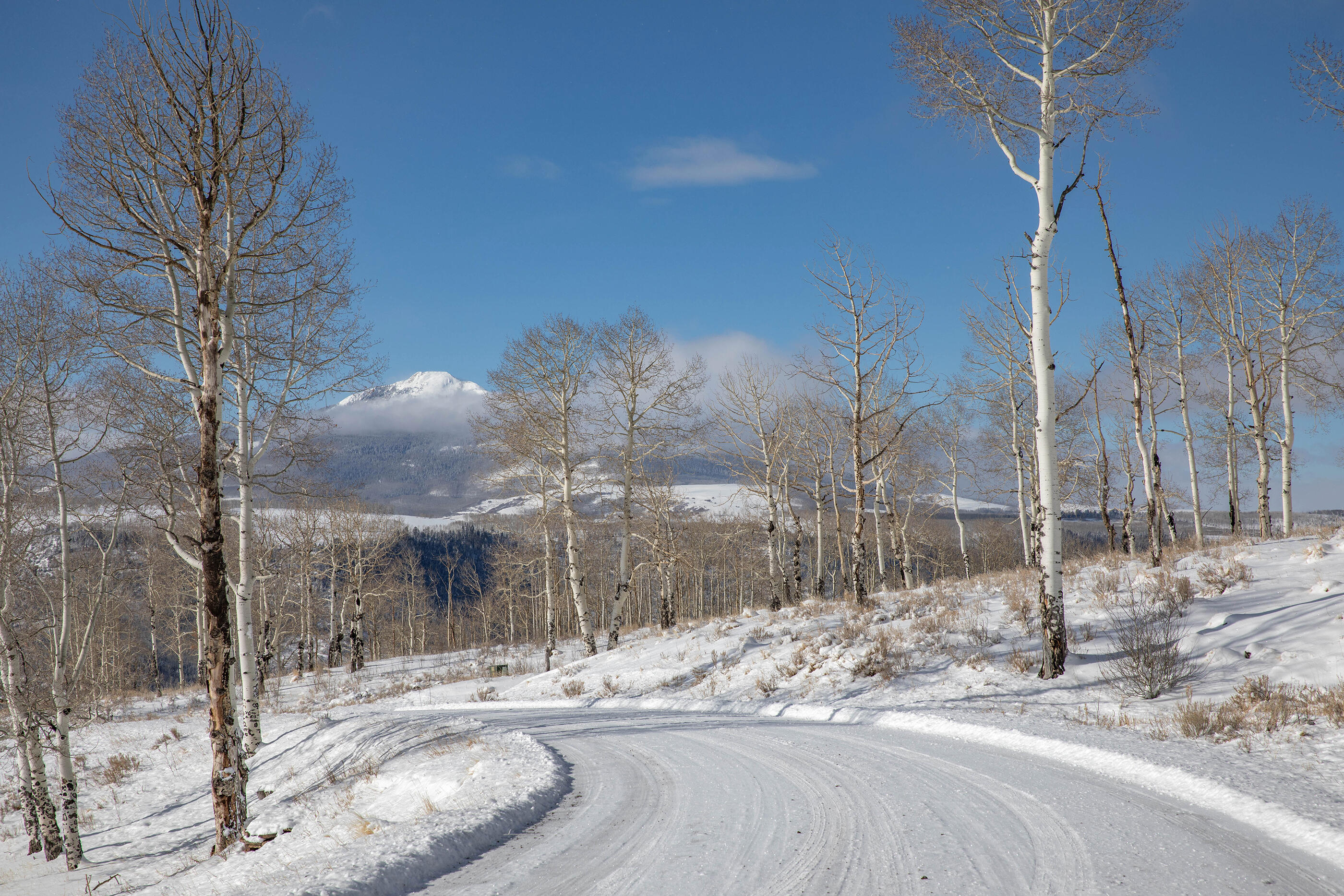 300 Whipple Way Telluride, CO 81435 - Photo 8 of 28 a view of road with a snow
