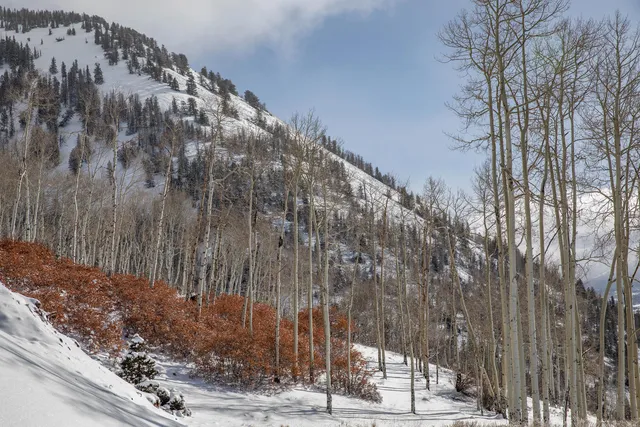 a outside view of a building