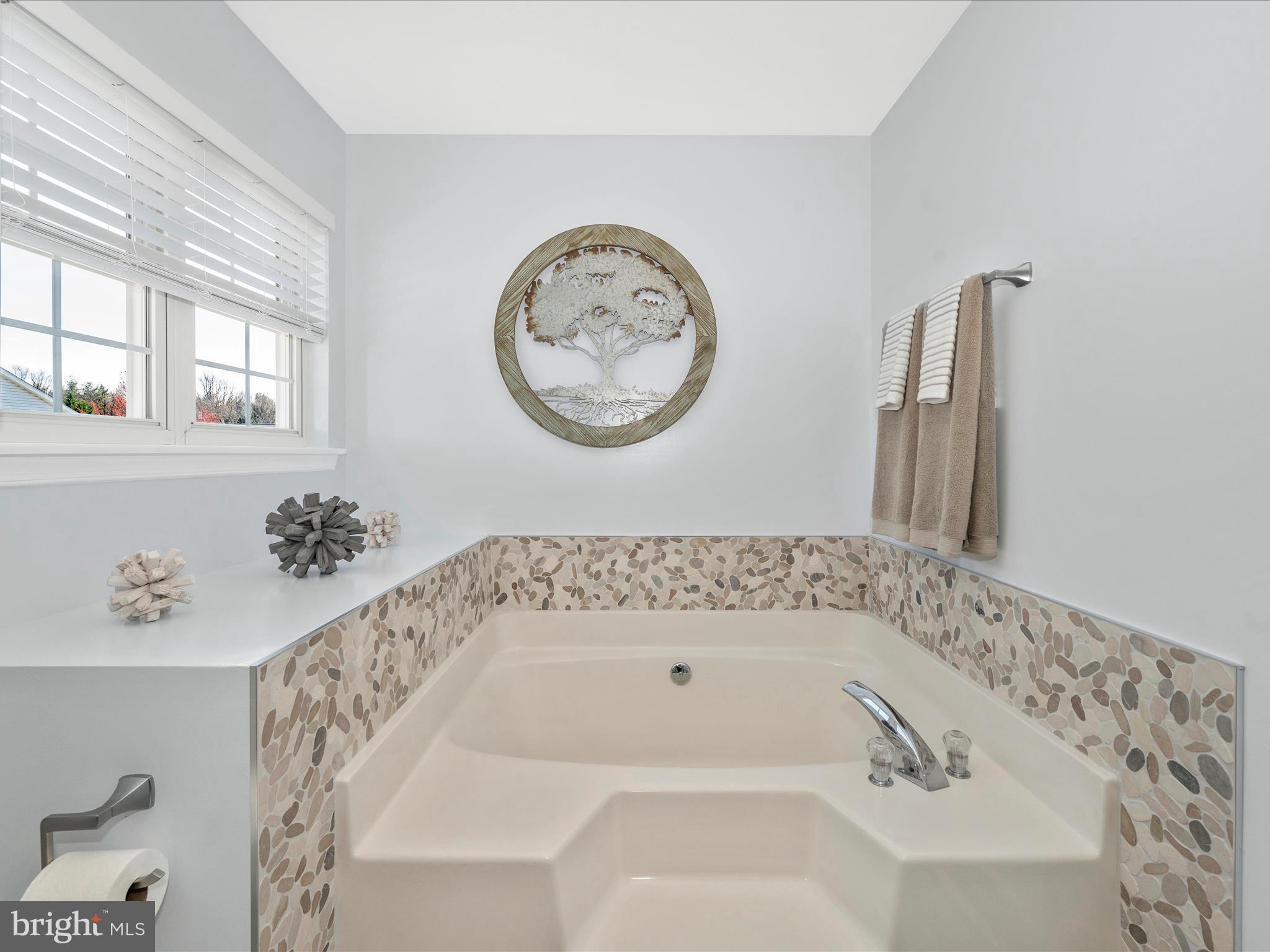 4501 Summer Ridge Court Mount Airy, MD 21771 - Photo 26 of 57 Primary Bathroom