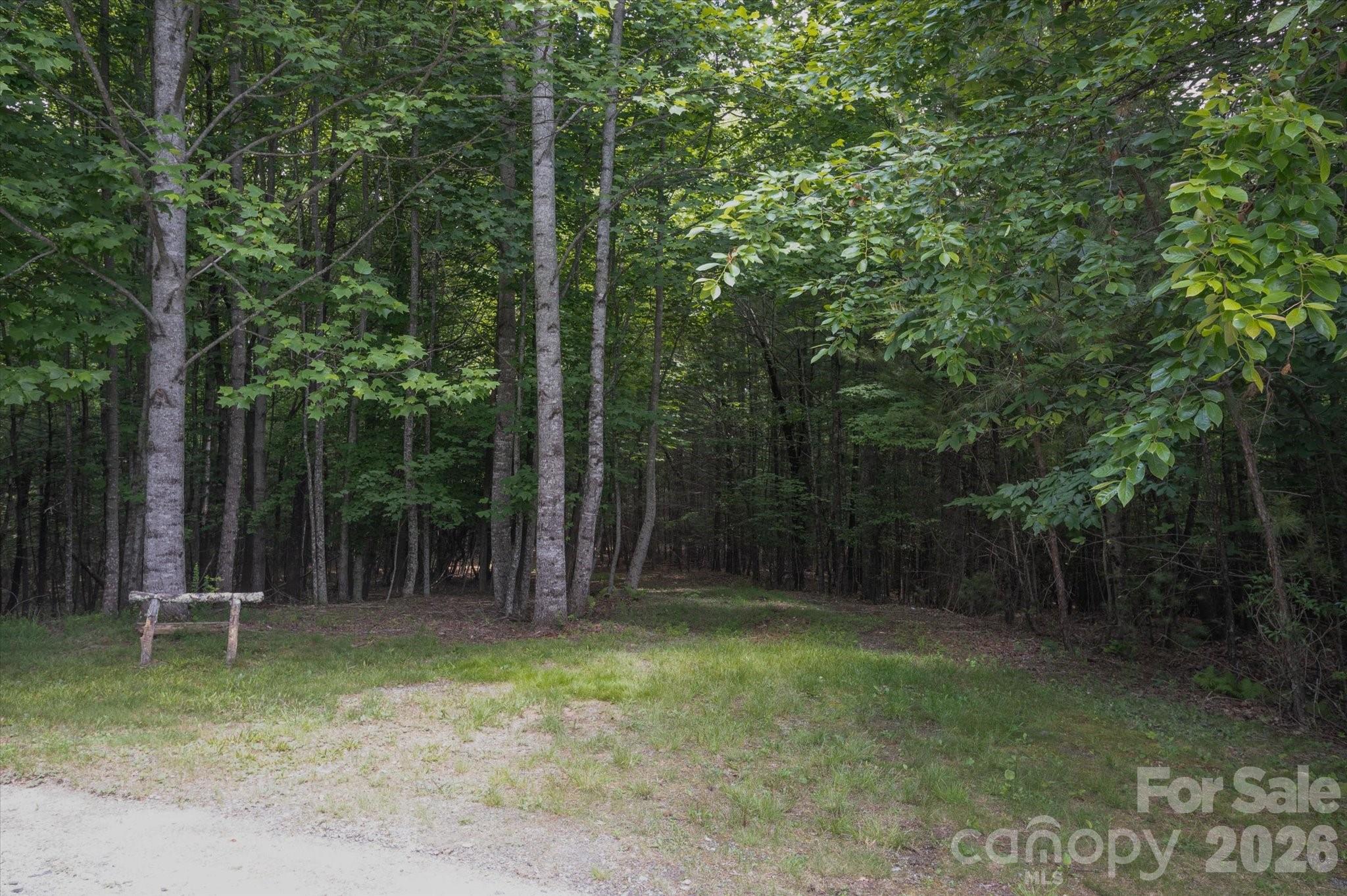 Tbd Reserve Road, Unit 16 Pisgah Forest, NC 28768 - Photo 7 of 18
