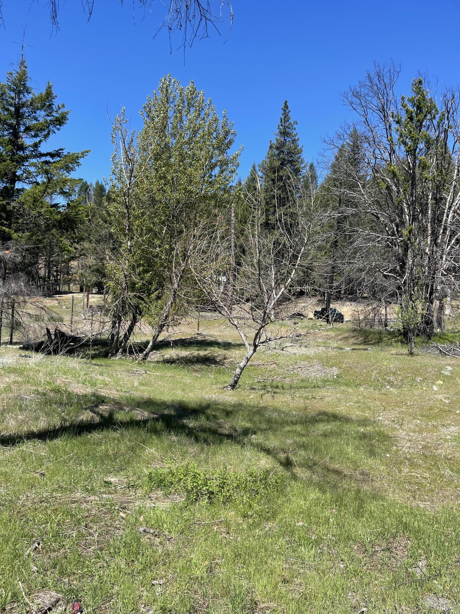 300 Cedar Gap Road Mad River, CA 95552 - Photo 4 of 11