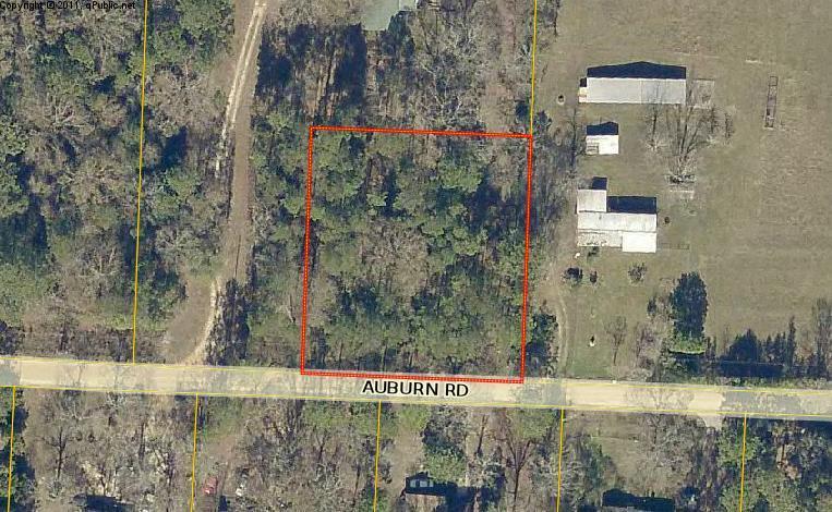 75-acre Auburn Road Crestview, FL 32539 - Photo 3 of 3 view of outdoor space