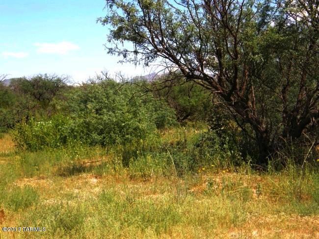 Lot 019 North Cascabel Road, Unit 19F Benson, AZ 85602 - Photo 3 of 14