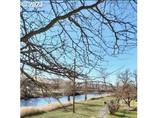 37418 Rieth Road Echo, OR 97826 - Photo 10 of 11 a view of yard with tree s