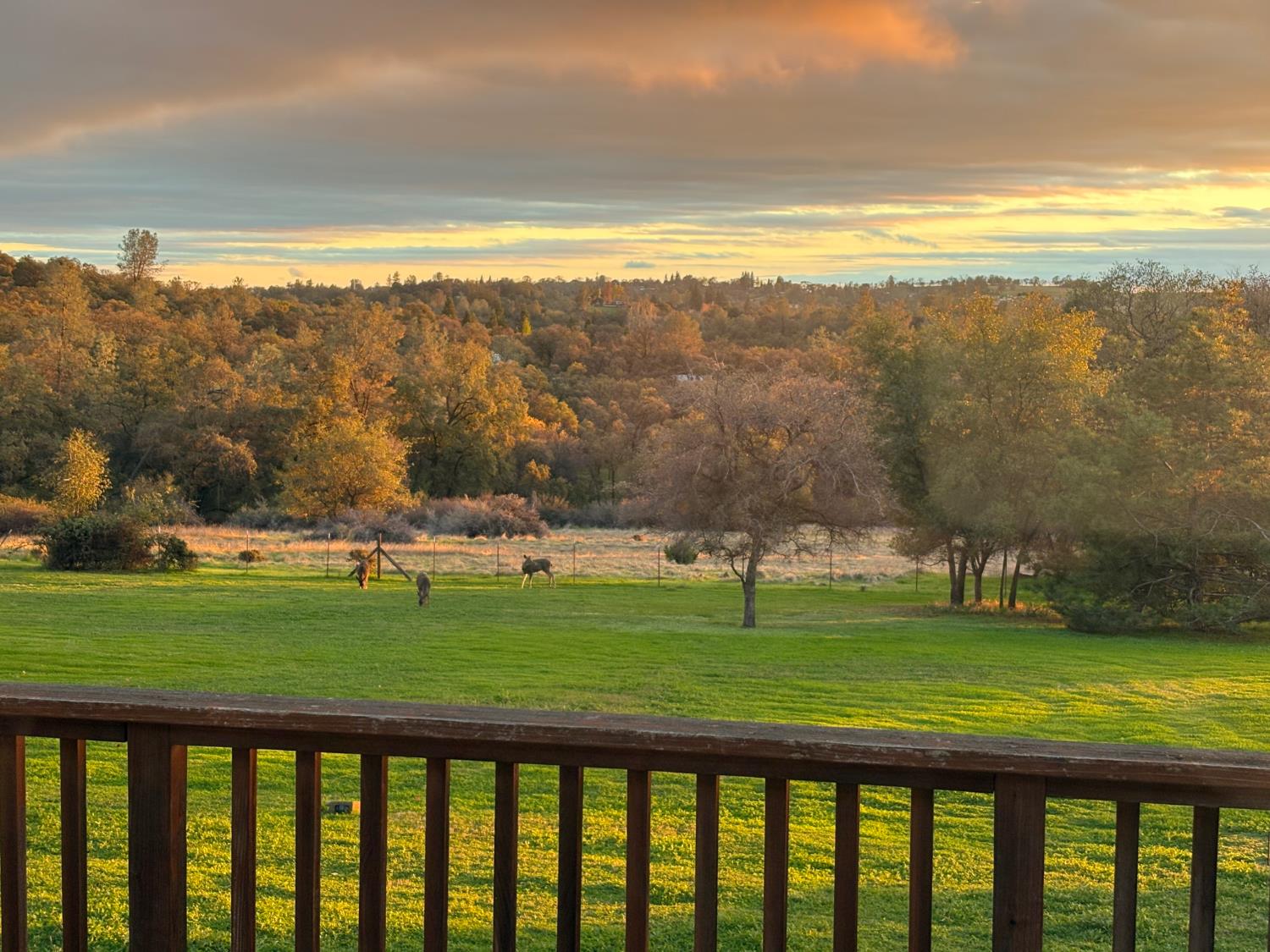 3735 Bell Road Auburn, CA 95603 - Photo 36 of 49