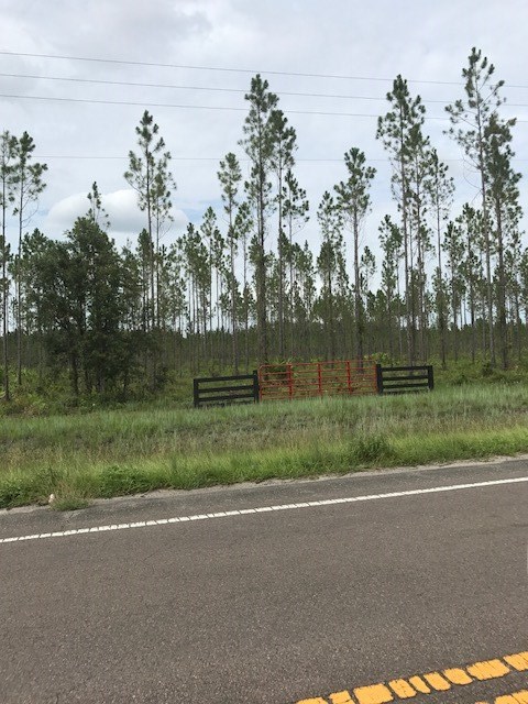 Lot 4 River Road Callahan, FL 32011 - Photo 1 of 1 Gallery Image 1