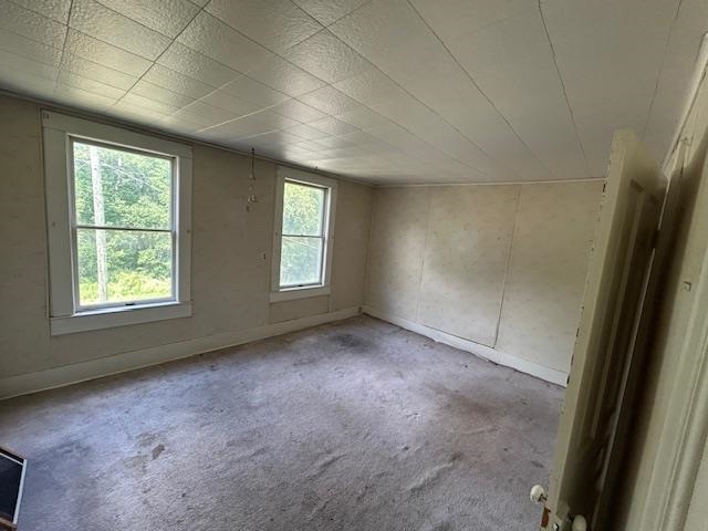 145 Millbrook Road Blanchard, MI 49310 - Photo 22 of 28