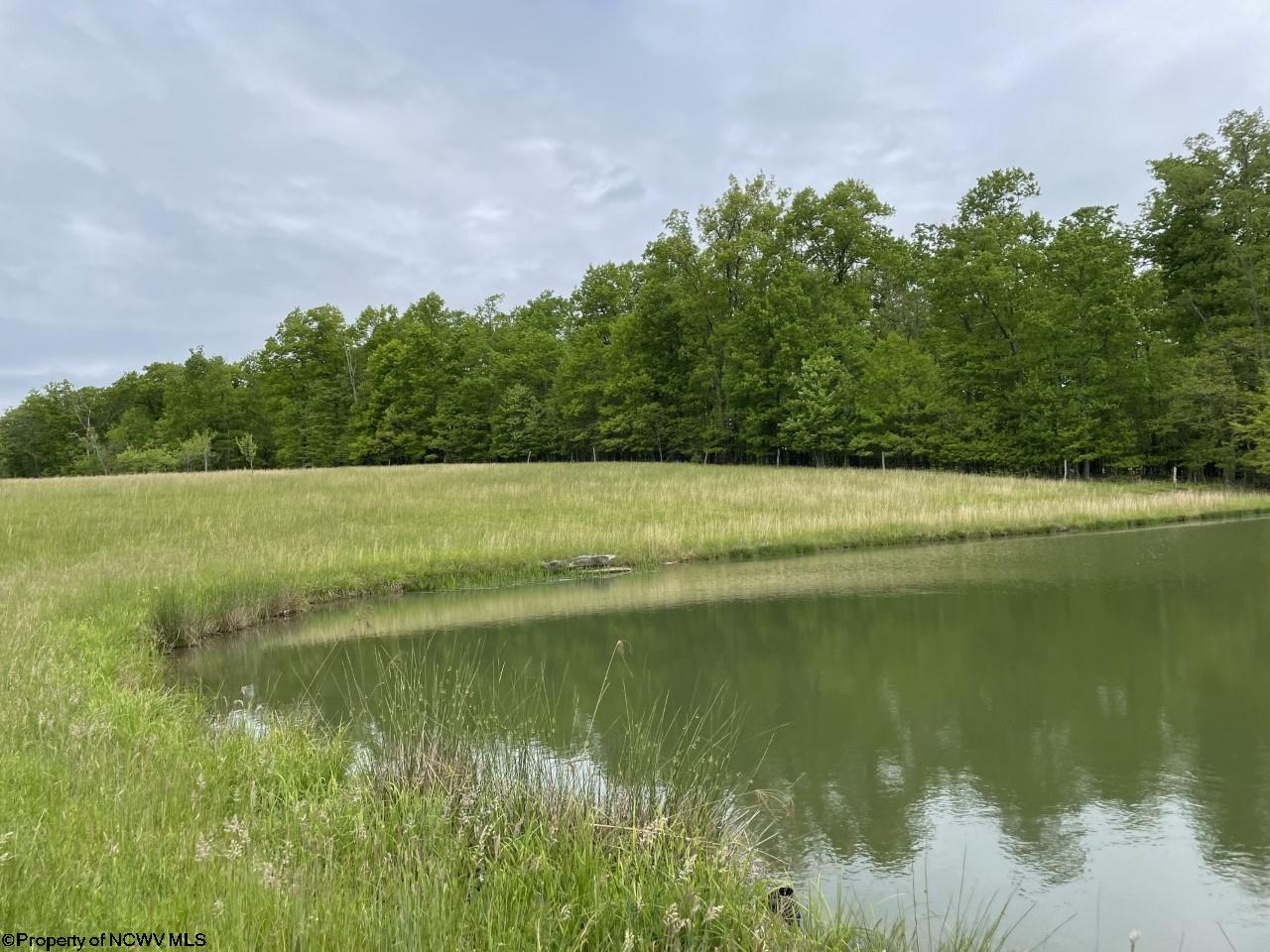 1200 Sand Bank Road Fairmont, WV 26554 - Photo 11 of 30 Gallery Image 11
