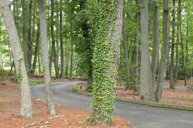 400 Huntington Road Greenville, SC 29615 - Photo 2 of 13