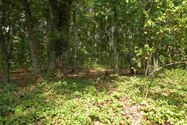 400 Huntington Road Greenville, SC 29615 - Photo 12 of 13