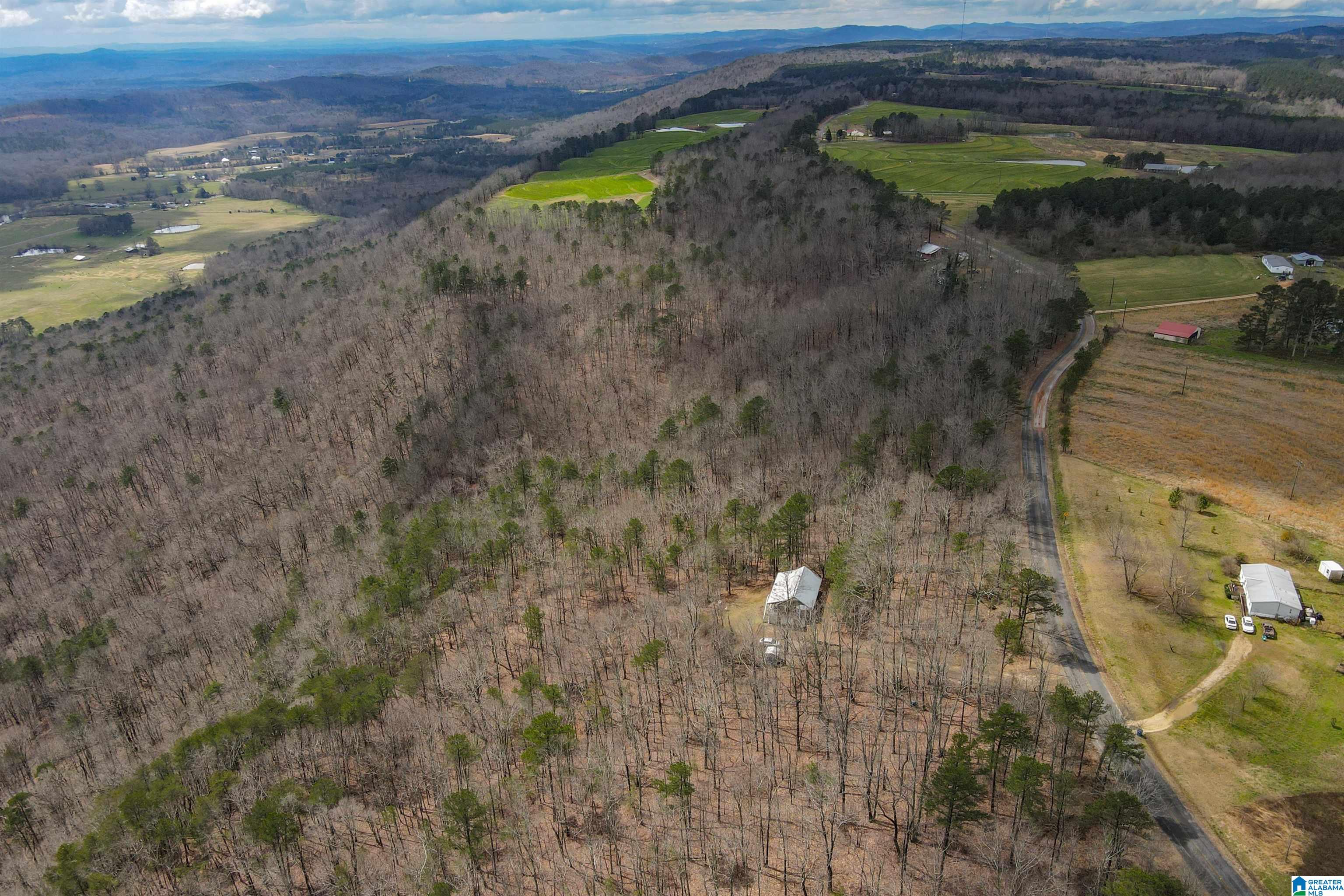 4076 Co Highway 24 Springville, AL 35146 - Photo 6 of 50