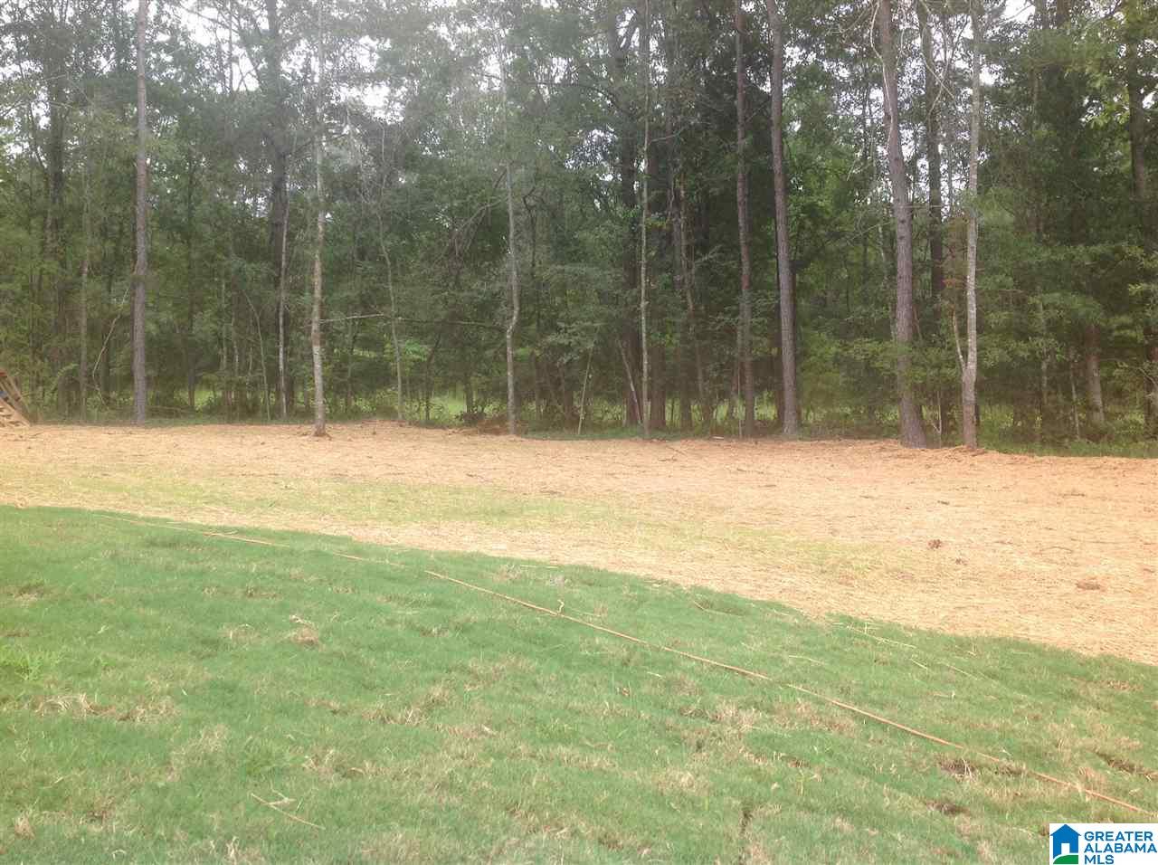 540 Creek Ridge Drive Riverside, AL 35135 - Photo 41 of 42