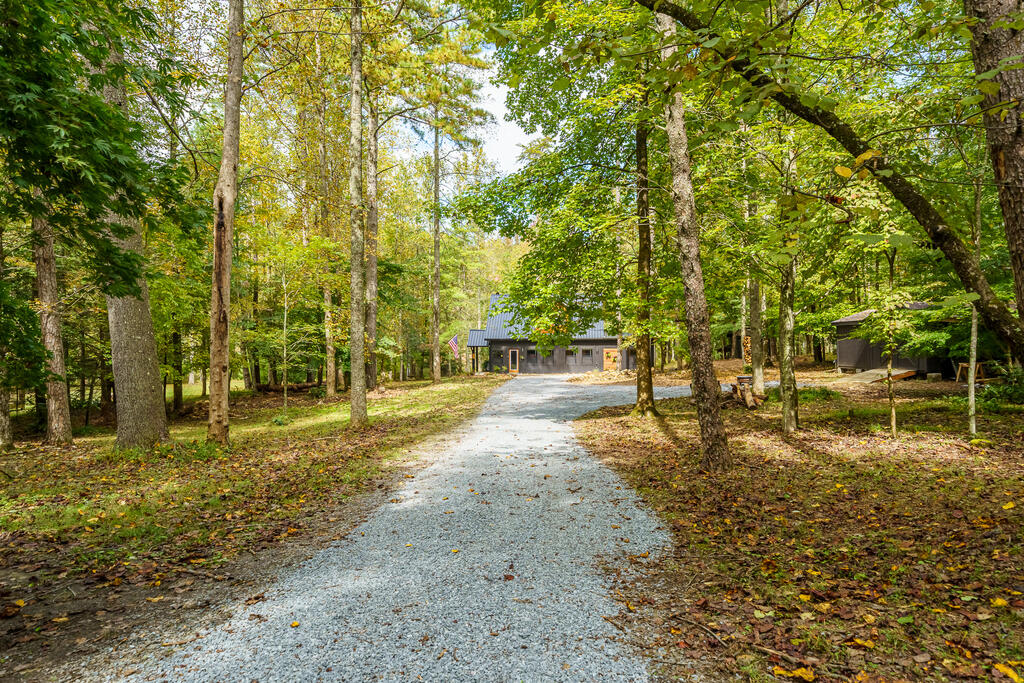 331 Rocky Hollow Road Ellijay, GA 30536 - Photo 6 of 70 Gallery Image 6