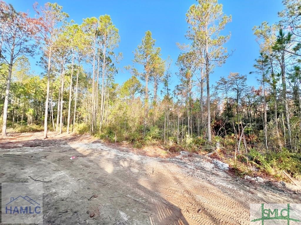 91 Phillipsville Road Fleming, GA 31309 - Photo 13 of 14