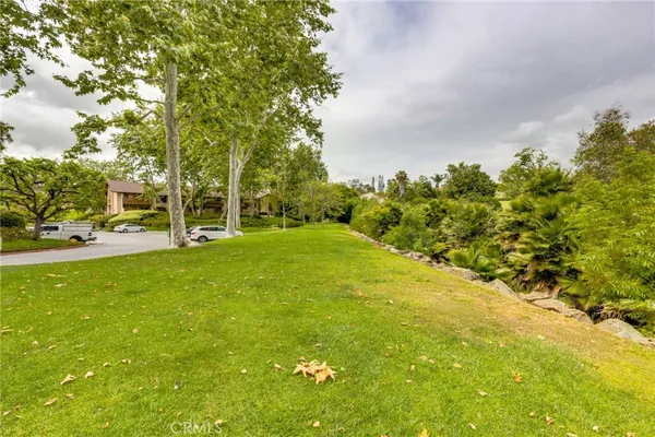 a view of a trees with a yard