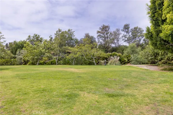 a view of a field with an trees