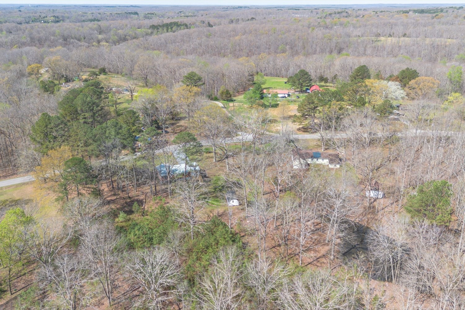 2540 Grays Bend Road Centerville, TN 37033 - Photo 12 of 48 a view of a dry yard with trees