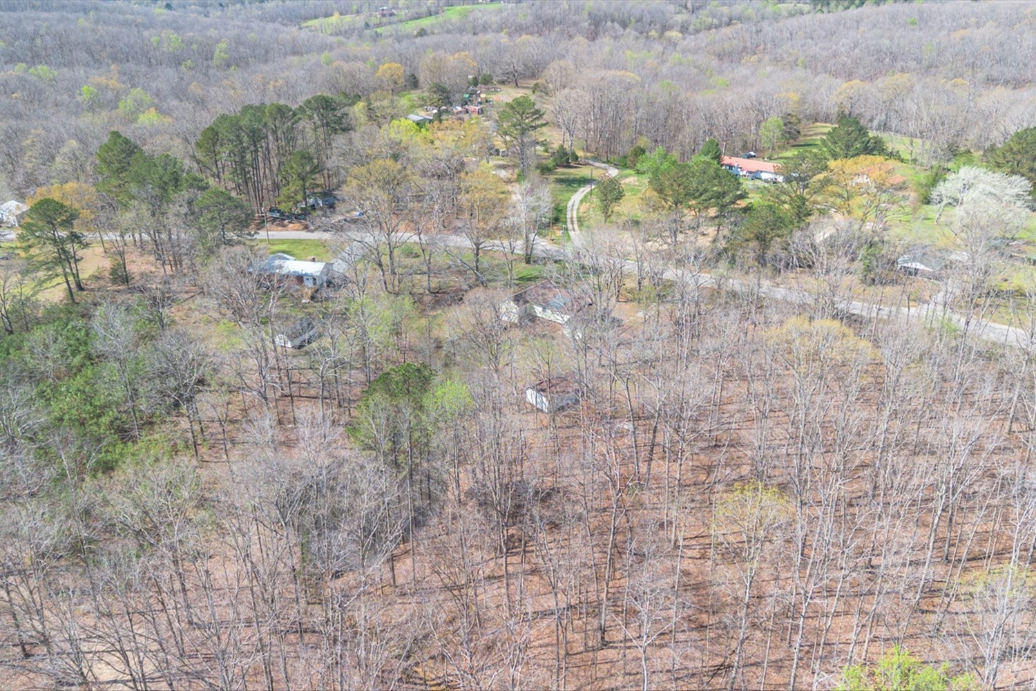 2540 Grays Bend Road Centerville, TN 37033 - Photo 14 of 48 a close up of a plant