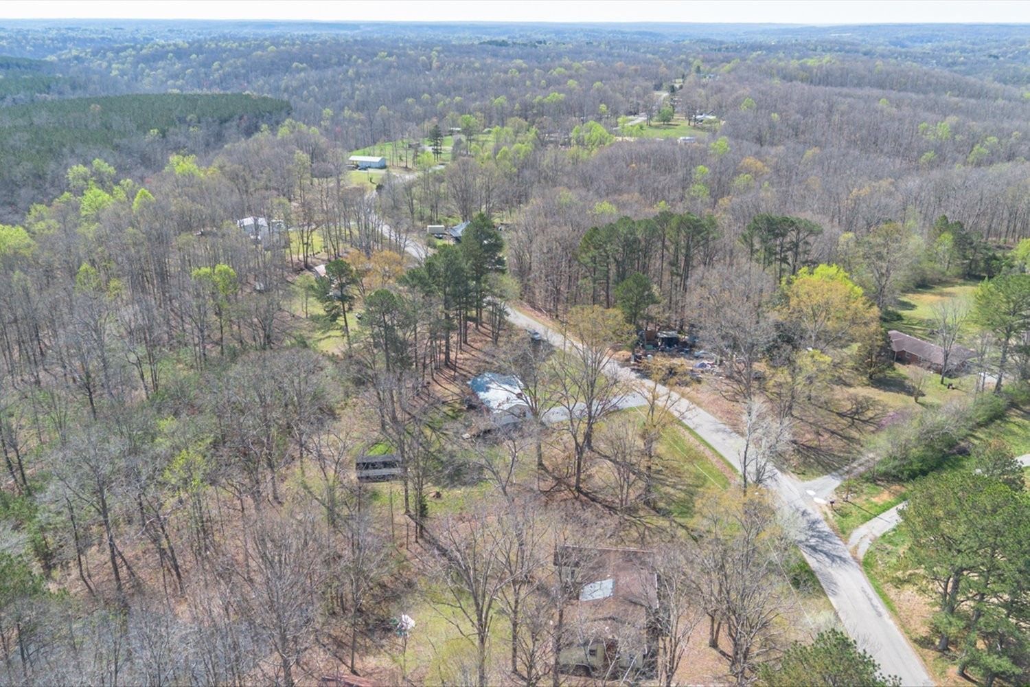 2540 Grays Bend Road Centerville, TN 37033 - Photo 15 of 48 a view of a lake with lots of bushes