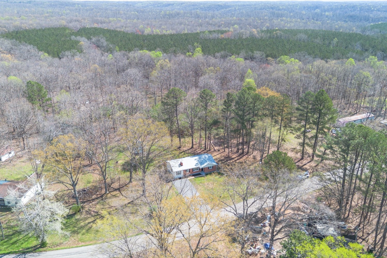 2540 Grays Bend Road Centerville, TN 37033 - Photo 6 of 48 a view of a yard with a tree