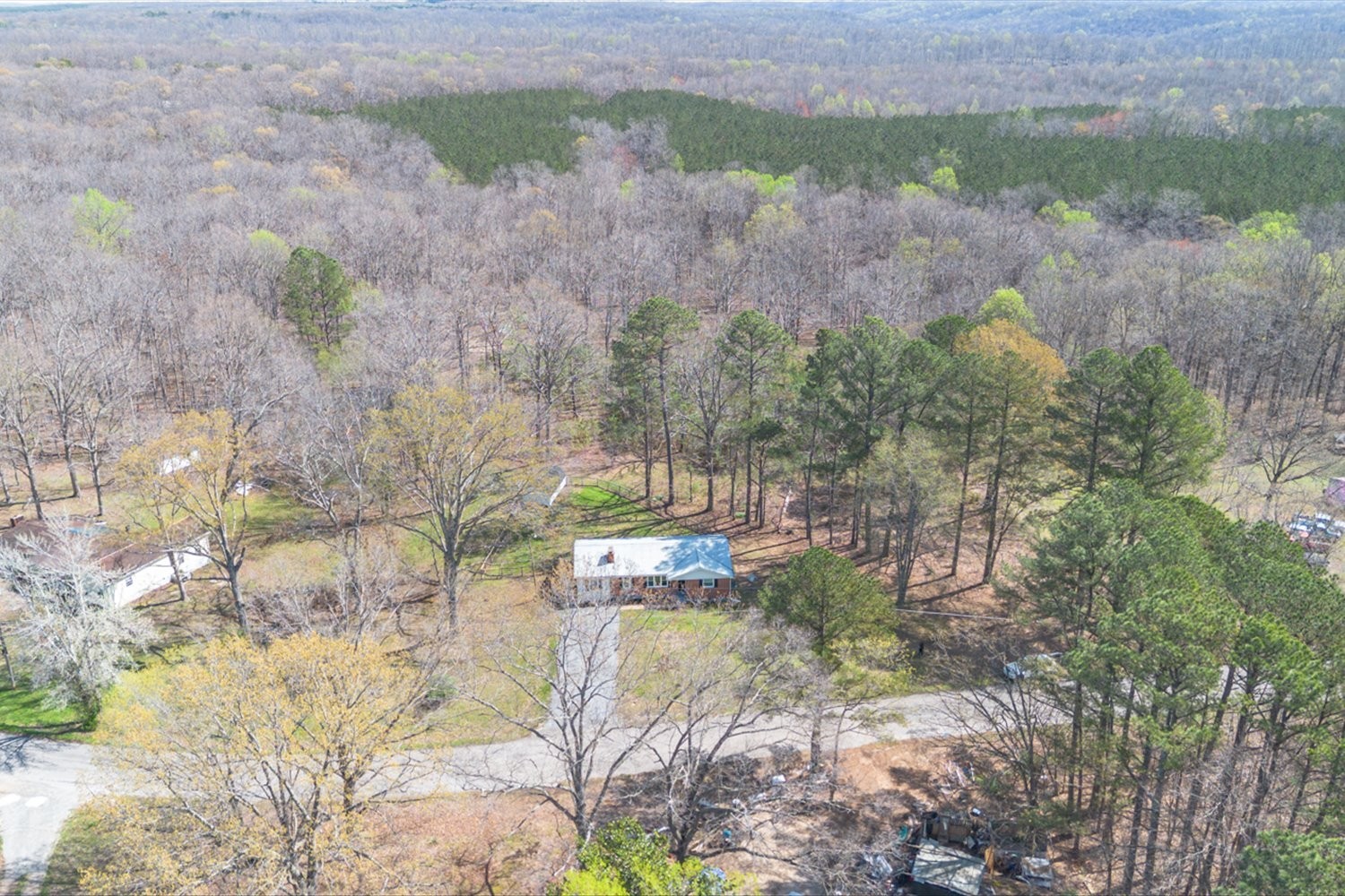 2540 Grays Bend Road Centerville, TN 37033 - Photo 7 of 48 a view of a yard with plants and large trees