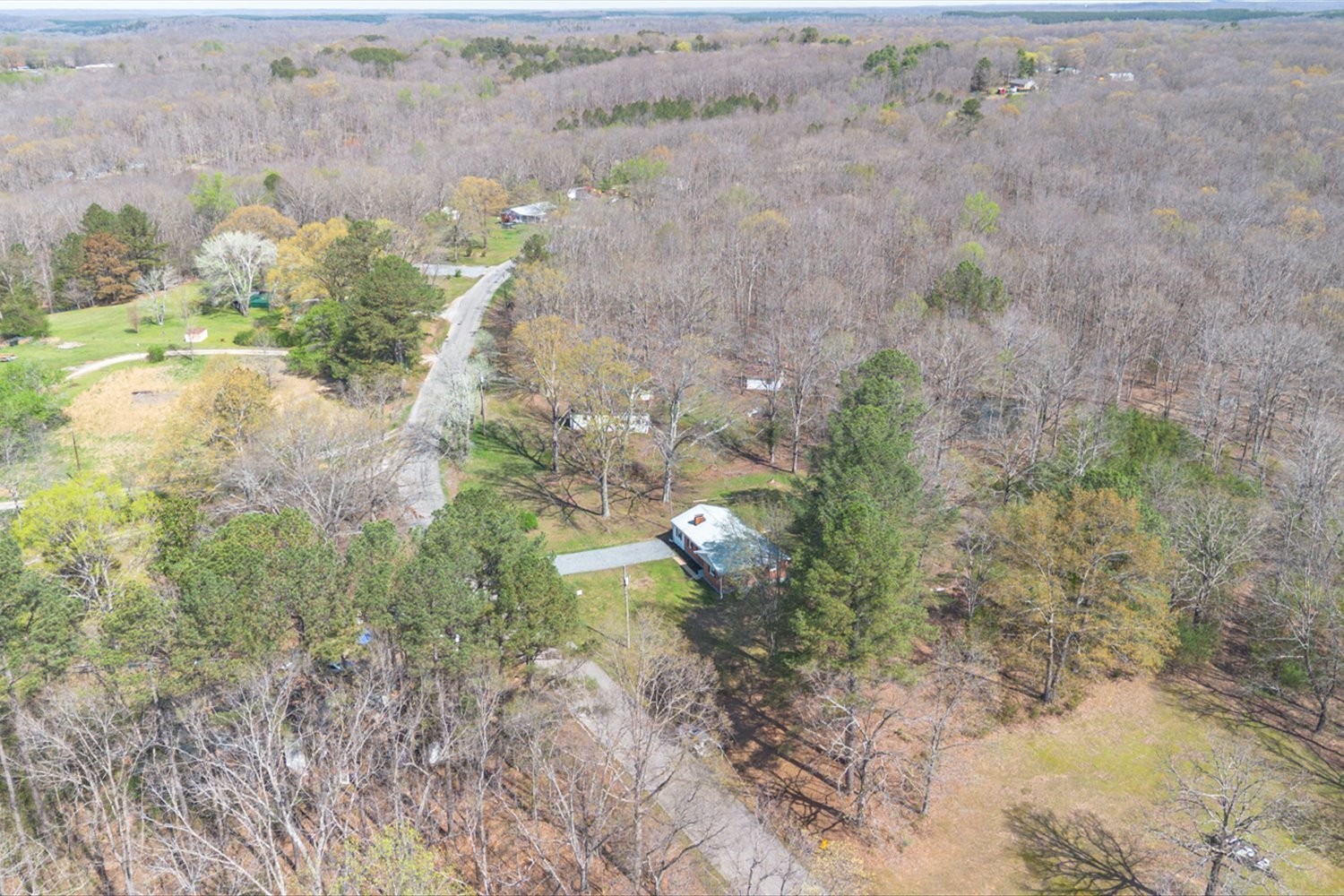 2540 Grays Bend Road Centerville, TN 37033 - Photo 9 of 48 a view of a yard with a trees