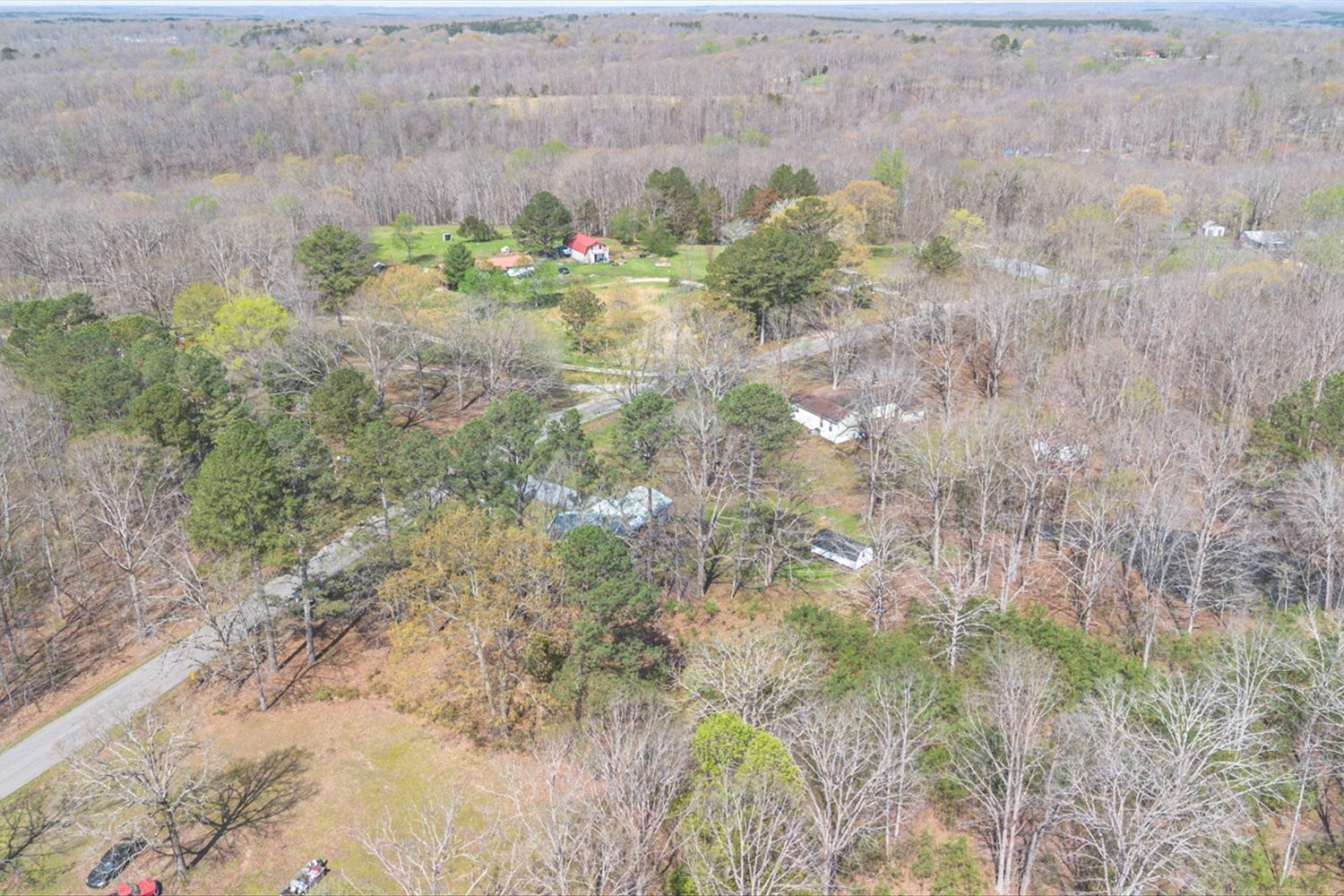 2540 Grays Bend Road Centerville, TN 37033 - Photo 10 of 48 a view of plant in middle of green field