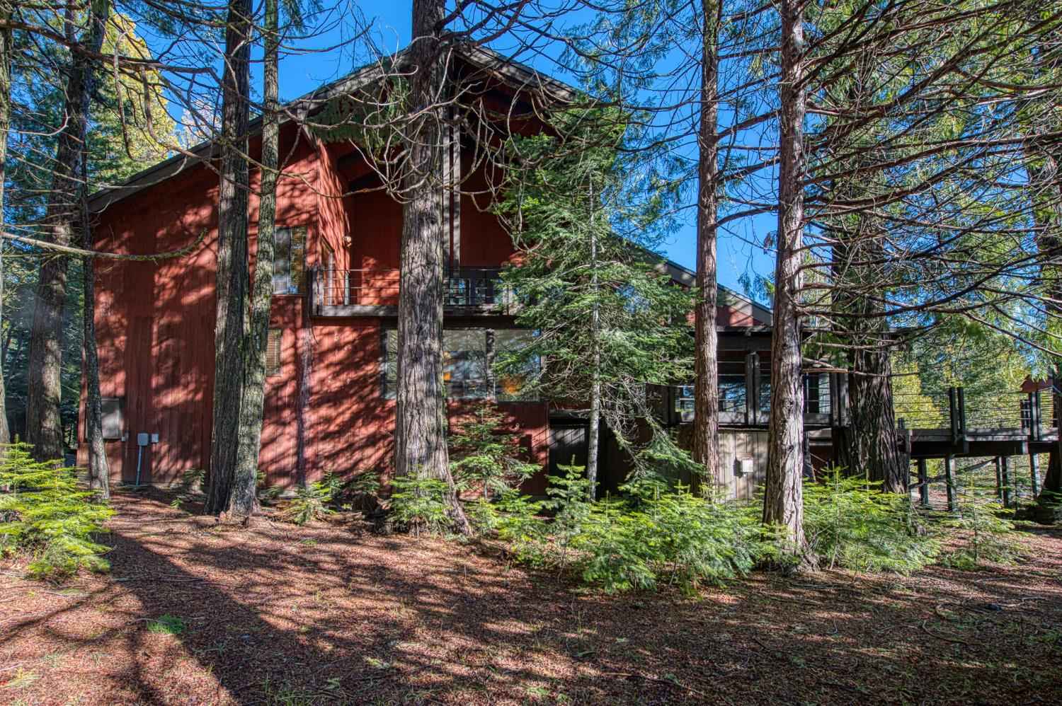 39326 Littlefield Road Shaver Lake, CA 93664 - Photo 3 of 49 a backyard of a house with lots of green space