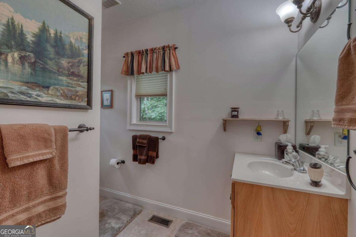 523 Sunnyside Shores Road Hiawassee, GA 30546 - Photo 23 of 55 a bathroom with a sink and a mirror