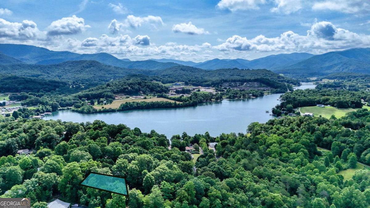 523 Sunnyside Shores Road Hiawassee, GA 30546 - Photo 50 of 55 an aerial view of a houses with yard