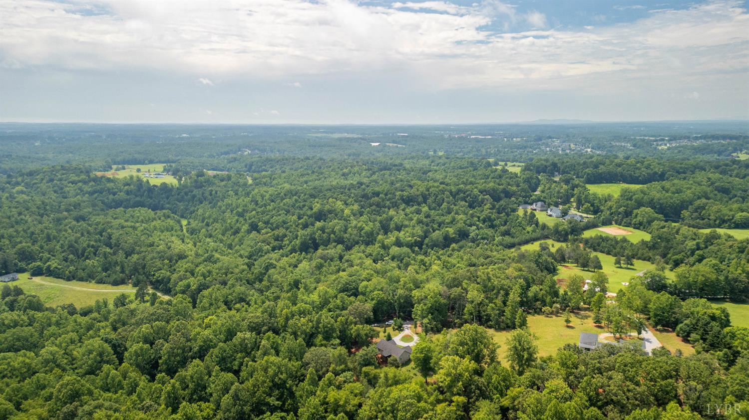 1194 Hamler Road Forest, VA 24551 - Photo 51 of 57 Gallery Image 51