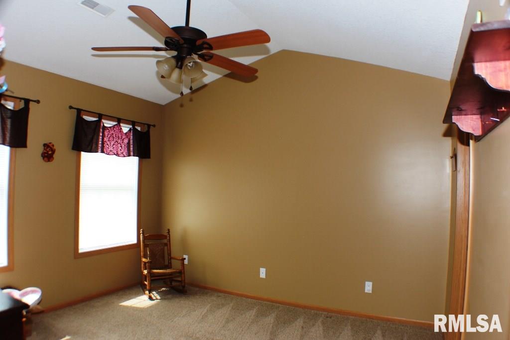 108 Rustic Lake Court Colona, IL 61241 - Photo 16 of 22 Gallery Image 16