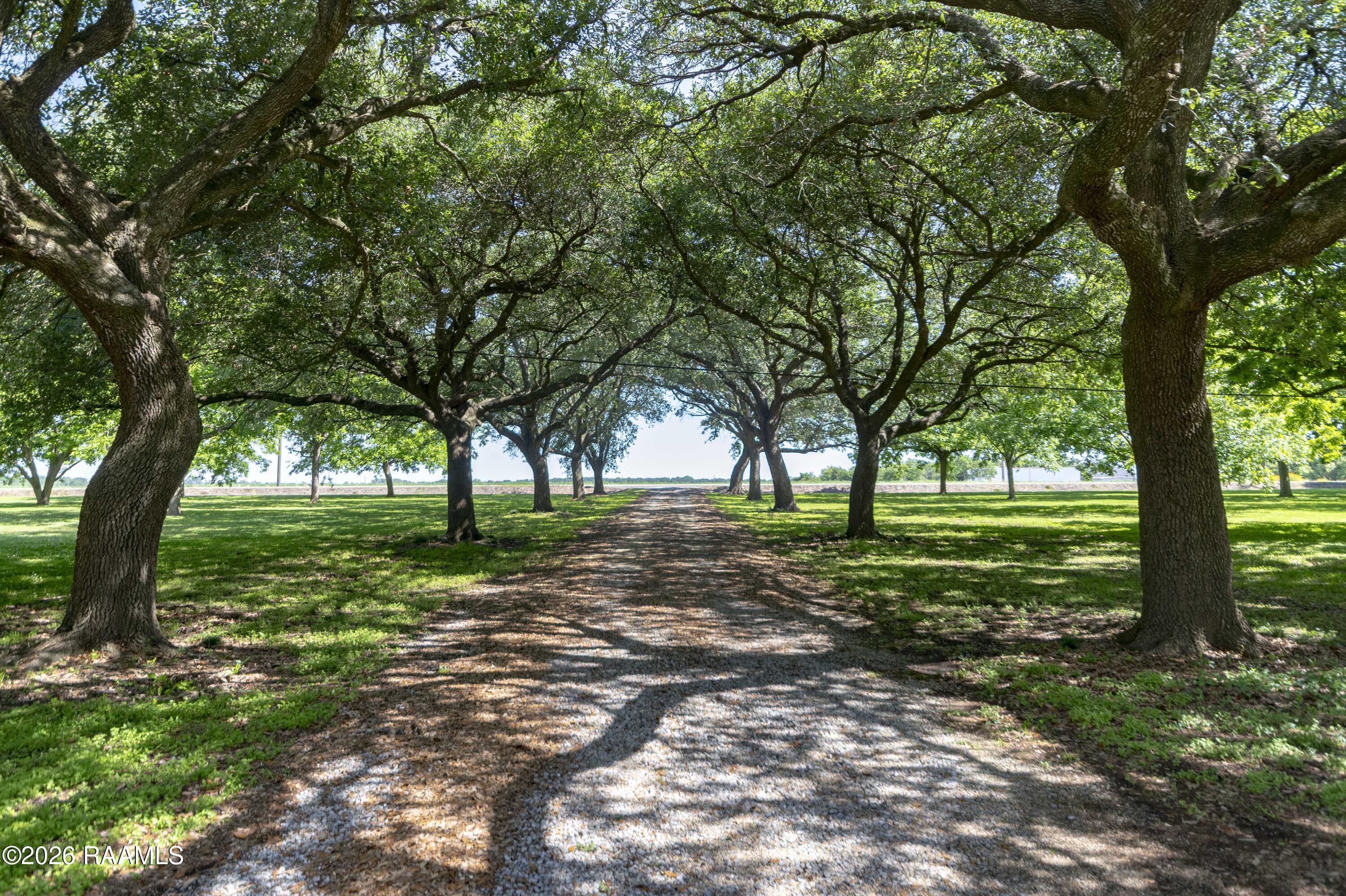 2508 Northside Road New Iberia, LA 70563 - Photo 34 of 44 Driveway 1