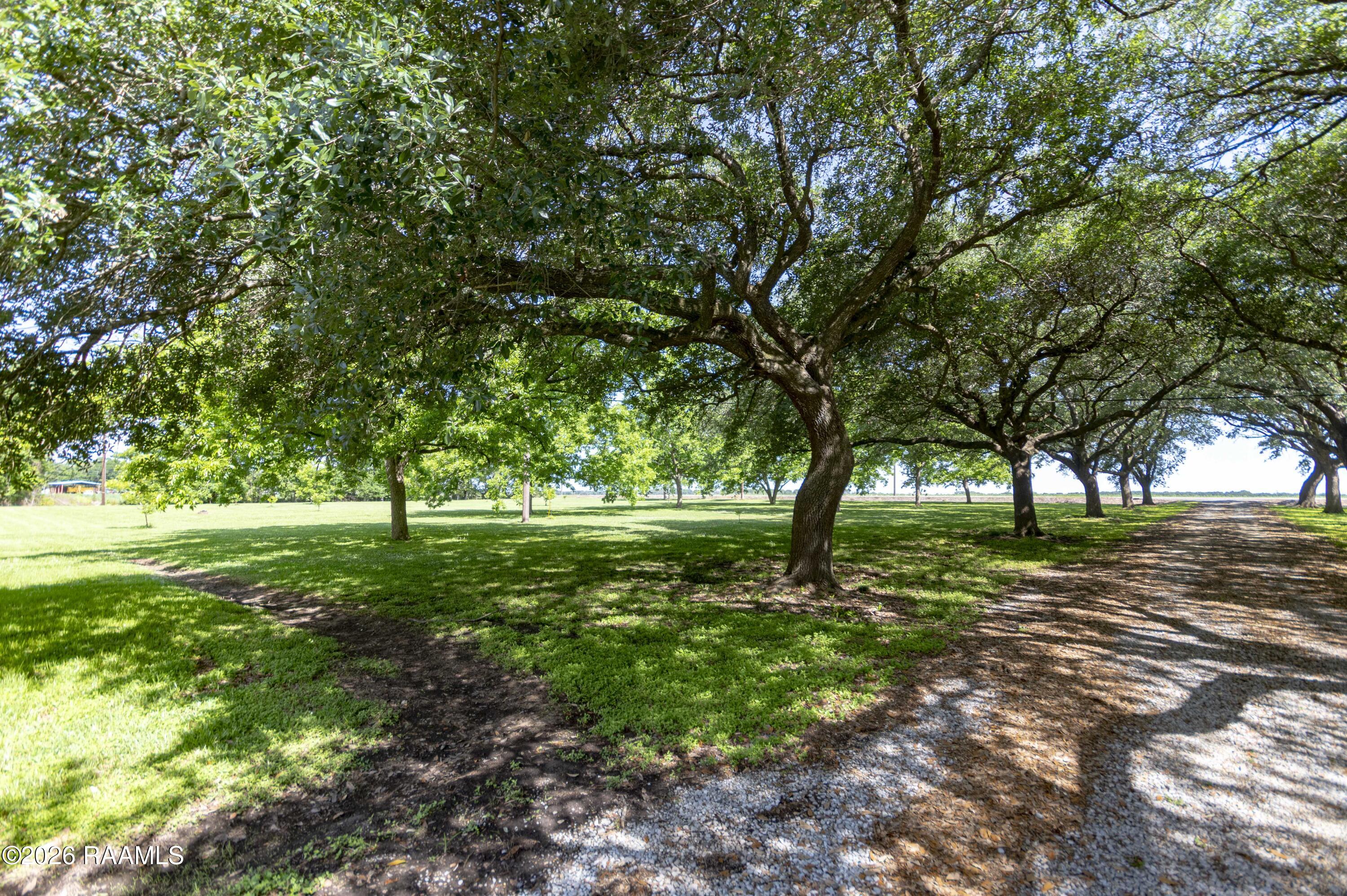 2508 Northside Road New Iberia, LA 70563 - Photo 35 of 44 Front Yard 1