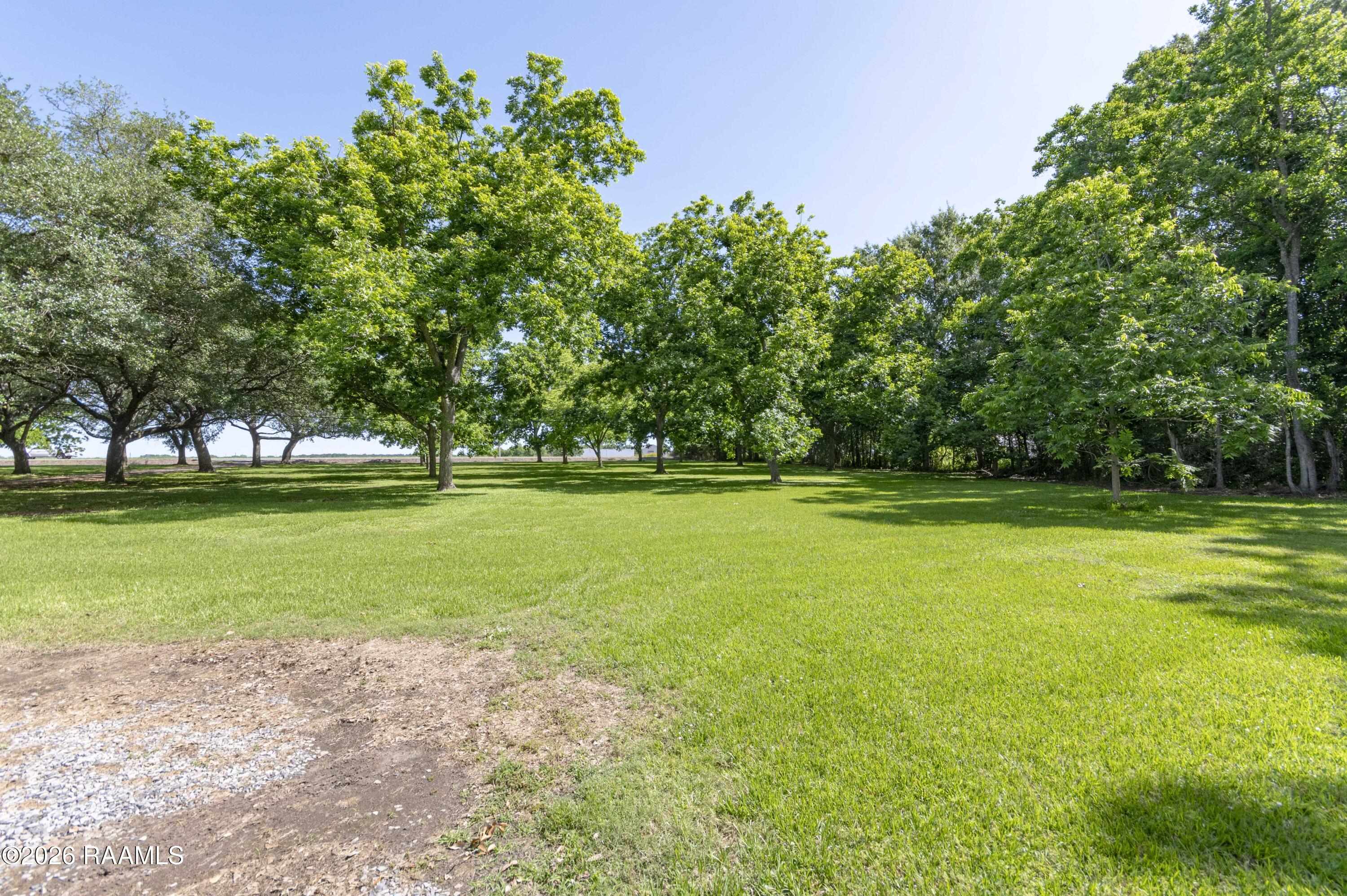 2508 Northside Road New Iberia, LA 70563 - Photo 36 of 44 Front Yard 2