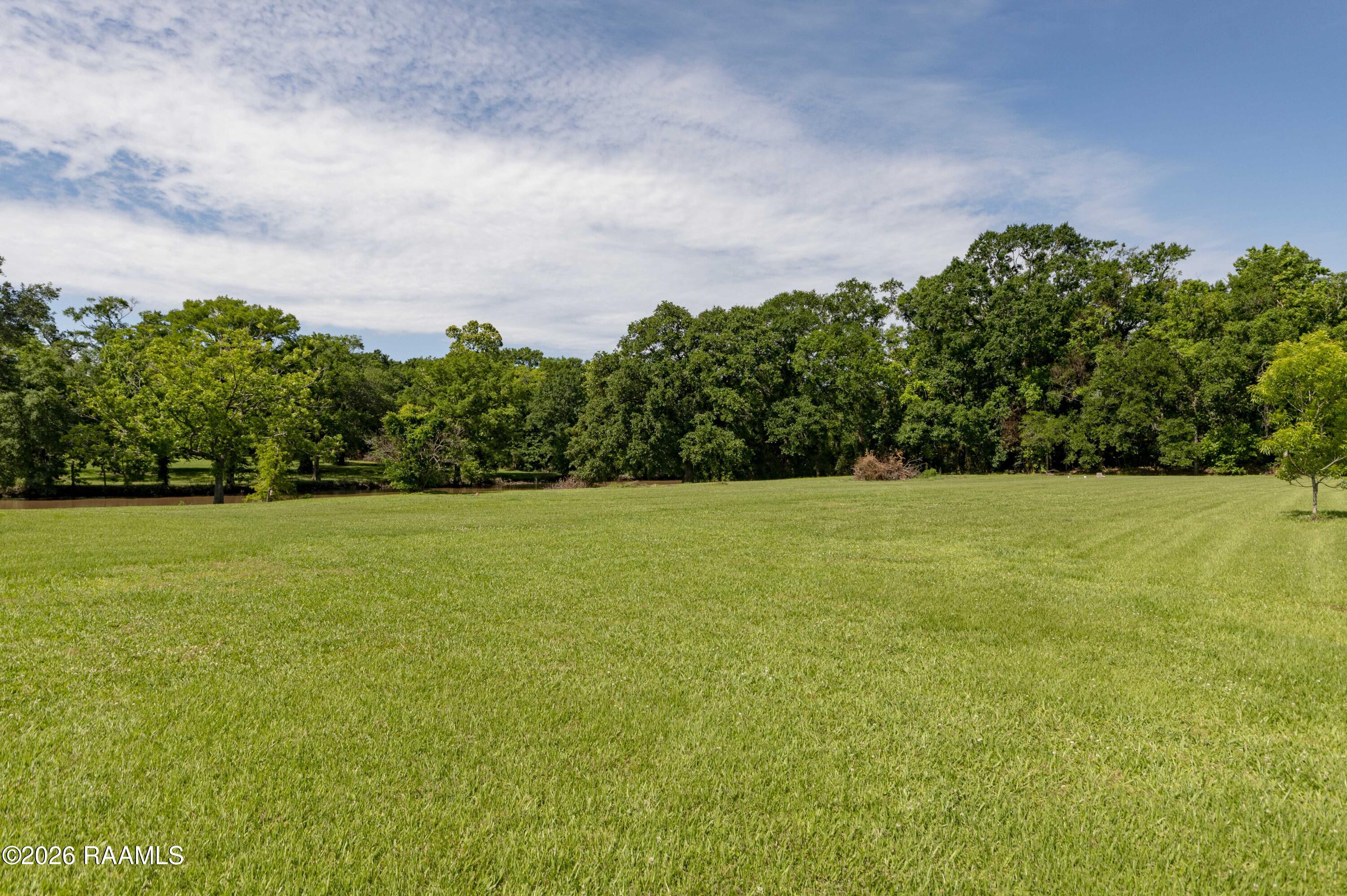 2508 Northside Road New Iberia, LA 70563 - Photo 40 of 44 Side Yard 2
