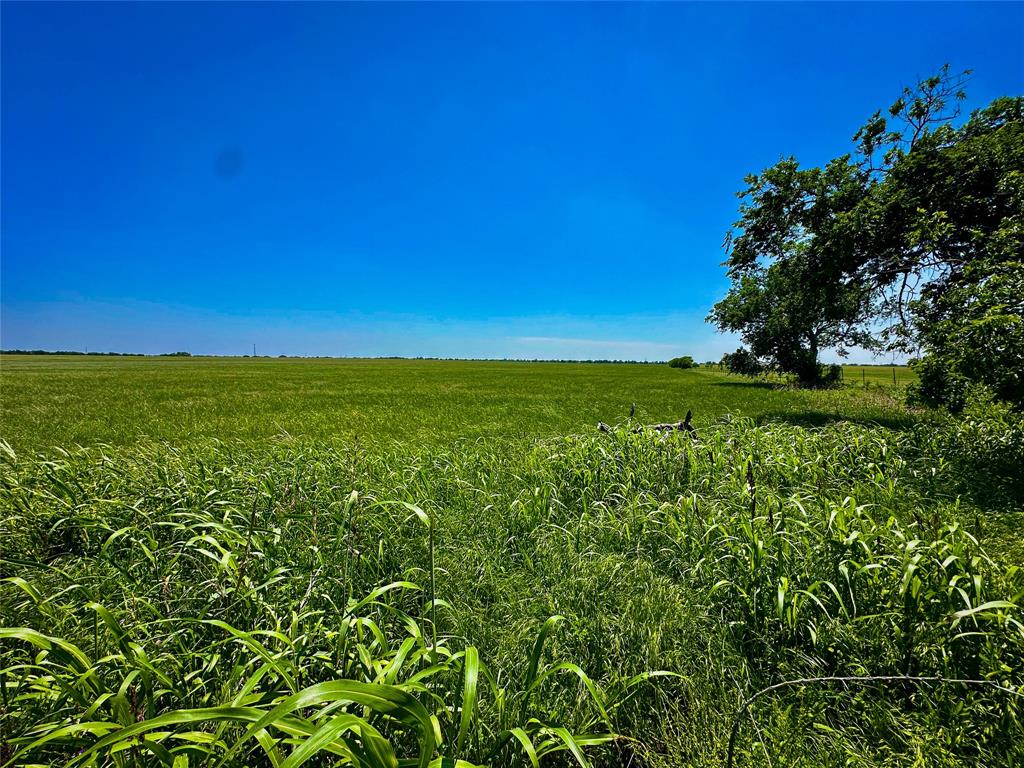 204 Valley View Valley View, TX 76272 - Photo 12 of 23 a view of a lush green space