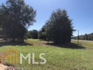 0 Highway 21 & Elbert Arnsdorff Road Springfield, GA 31329 - Photo 1 of 1