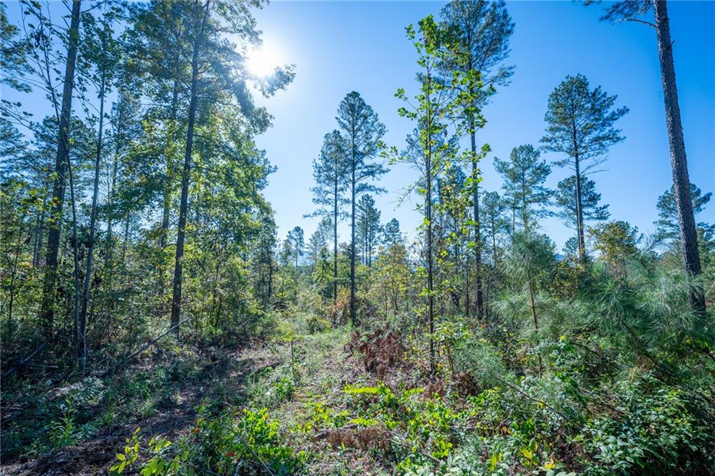 3867 Hwy 140 Ne Rydal Ga 30171 Northeast Rydal, GA 30171 - Photo 11 of 12